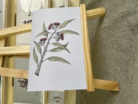 Gumnuts Greeting Card