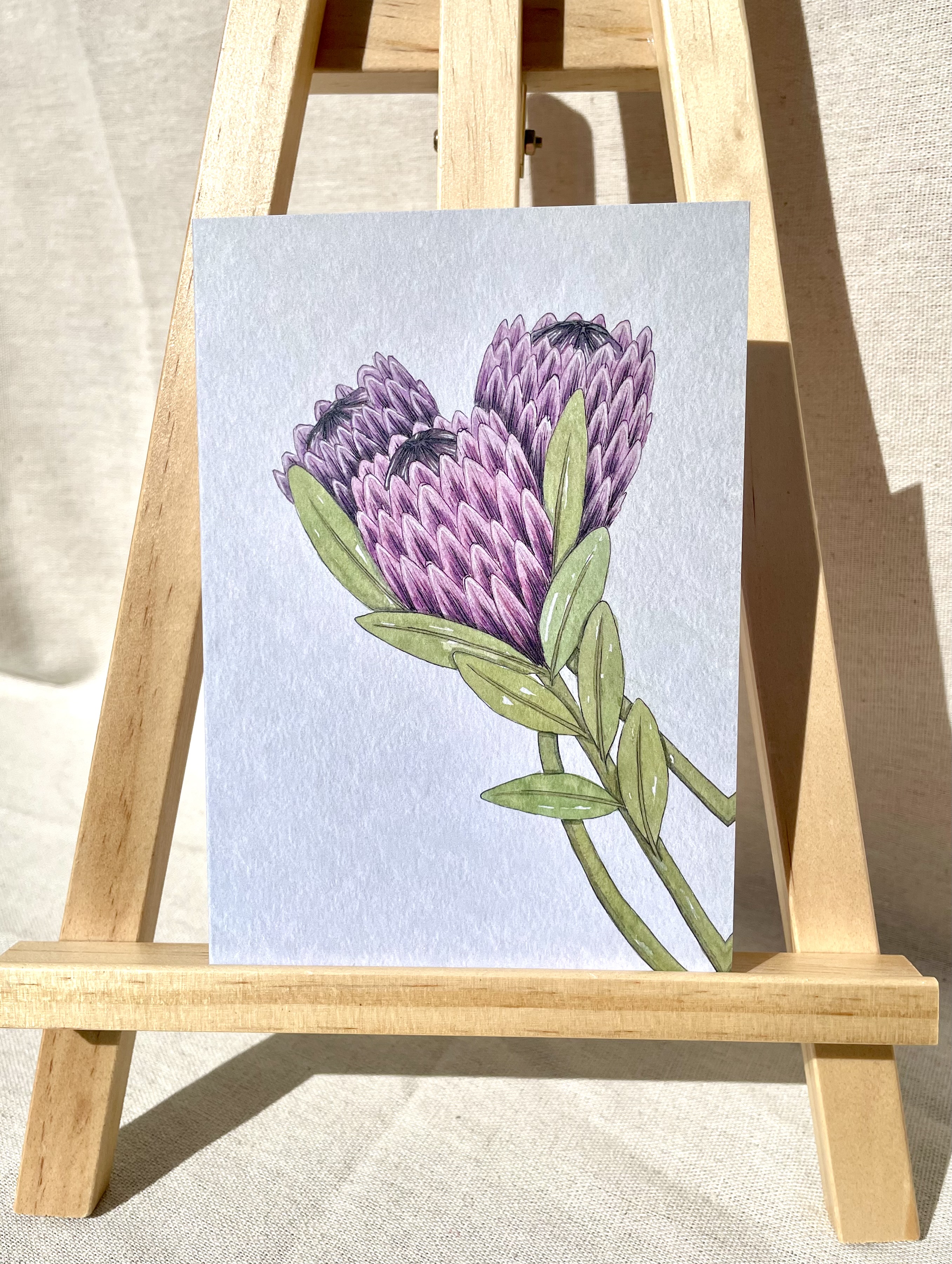 Protea Note Card