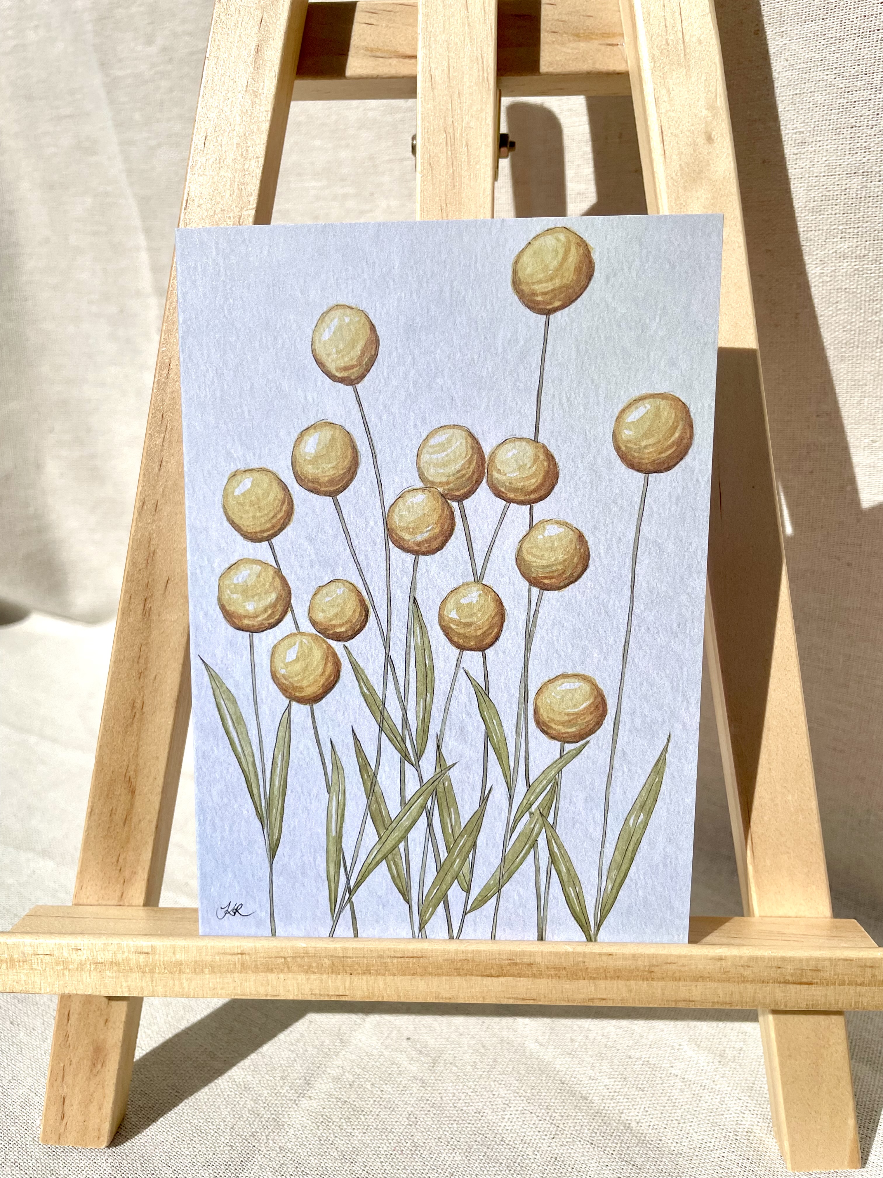 Billy Buttons Note Card