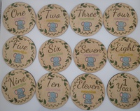 Wooden Milestone Discs